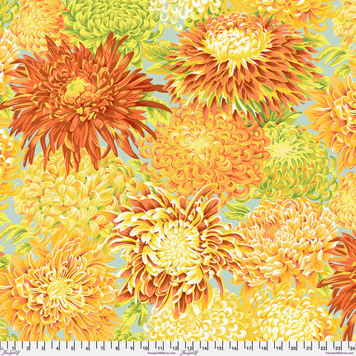 JAPANESE CHRYSANTHEMUM YELLOW PWPJ041 Philip Jacobs