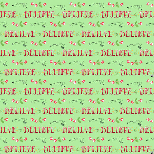 ***SALE***BELIEVE AND MERRY - LIME - So Much Joy PWMY013.LIME Mary Engelbreit - June 2025