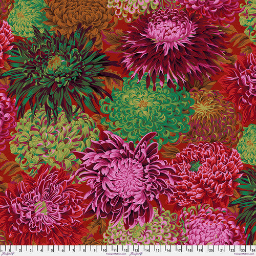 JAPANESE CHRYSANTHEMUM SCARLET Red PWPJ041 Philip Jacobs