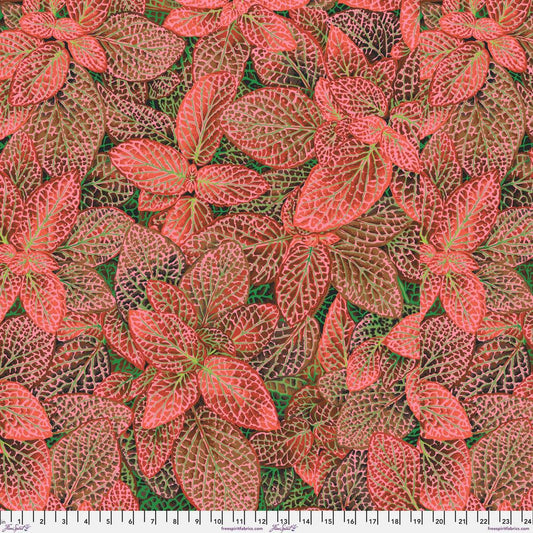FITTONIA RED PWPJ129 Philip Jacobs Kaffe Fassett Collective AUGUST 2024
