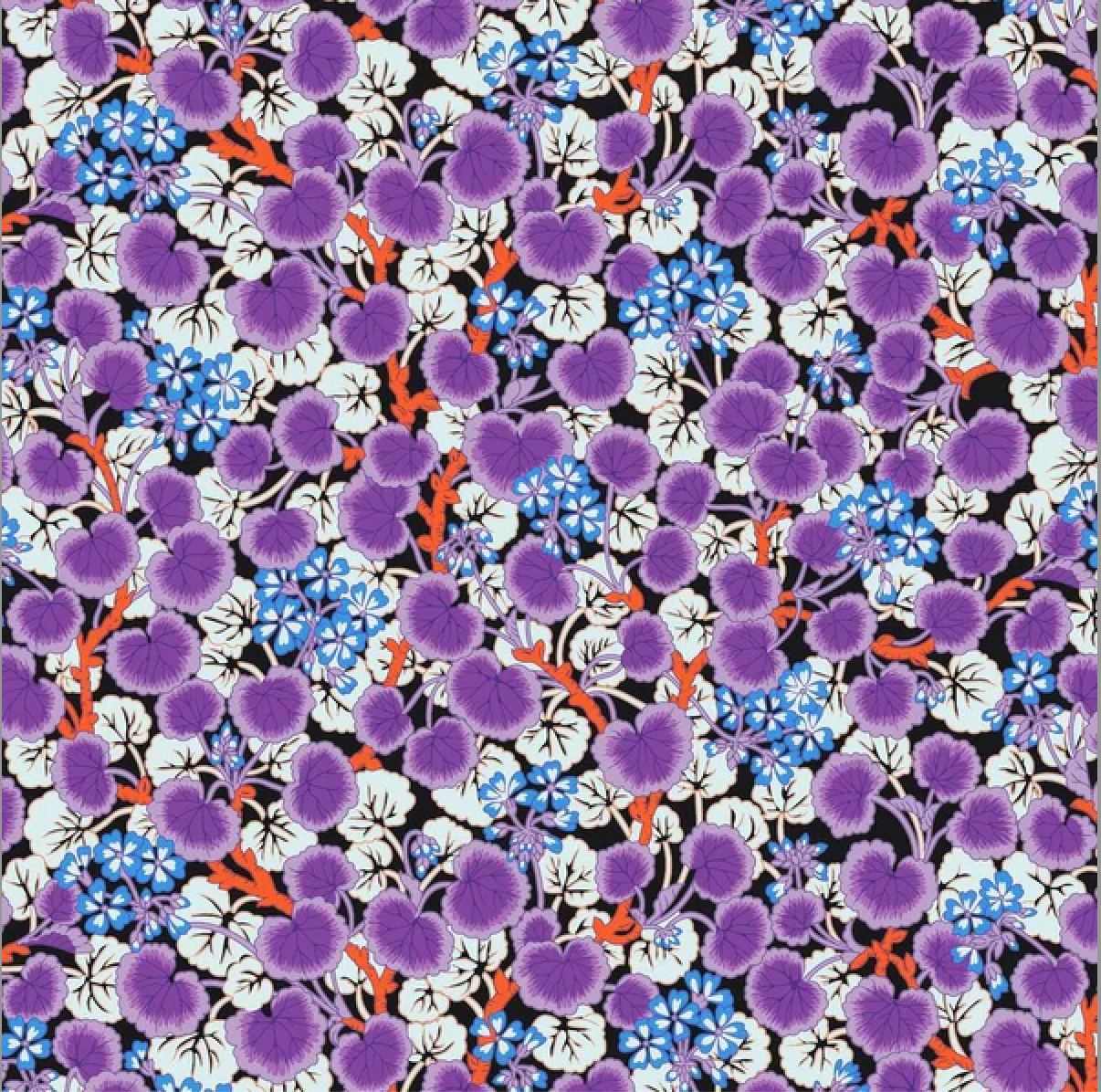 CLIMBING GERANIUMS CONTRAST PWPJ110 Philip Jacobs