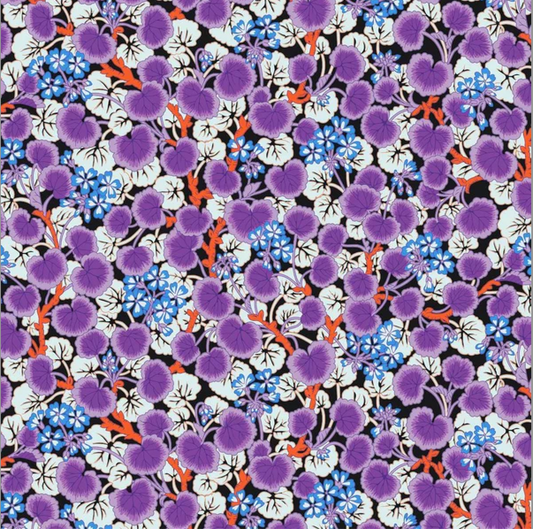 CLIMBING GERANIUMS CONTRAST PWPJ110 Philip Jacobs