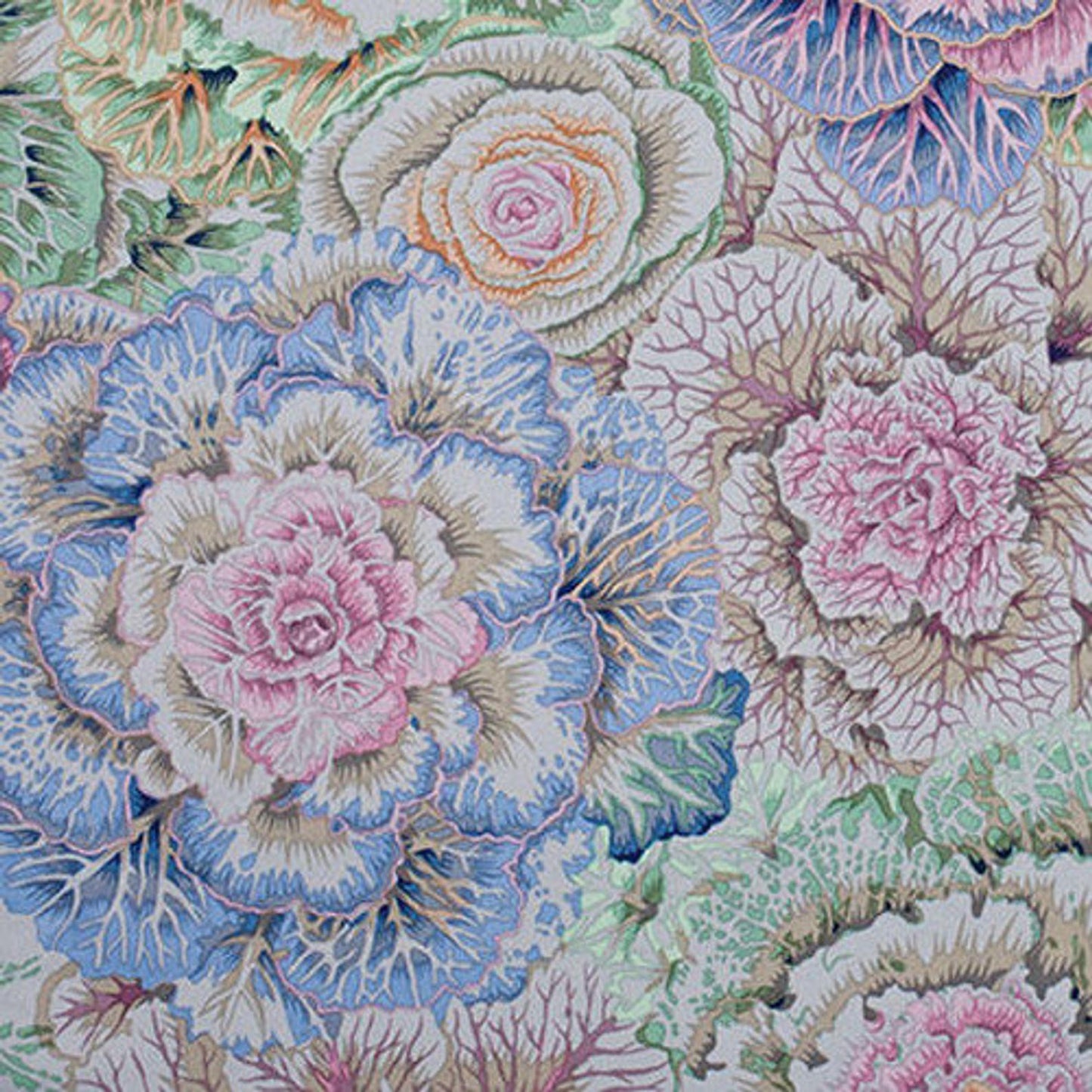 BRASSICA GRAY GREY PWPJ051 Philip Jacobs