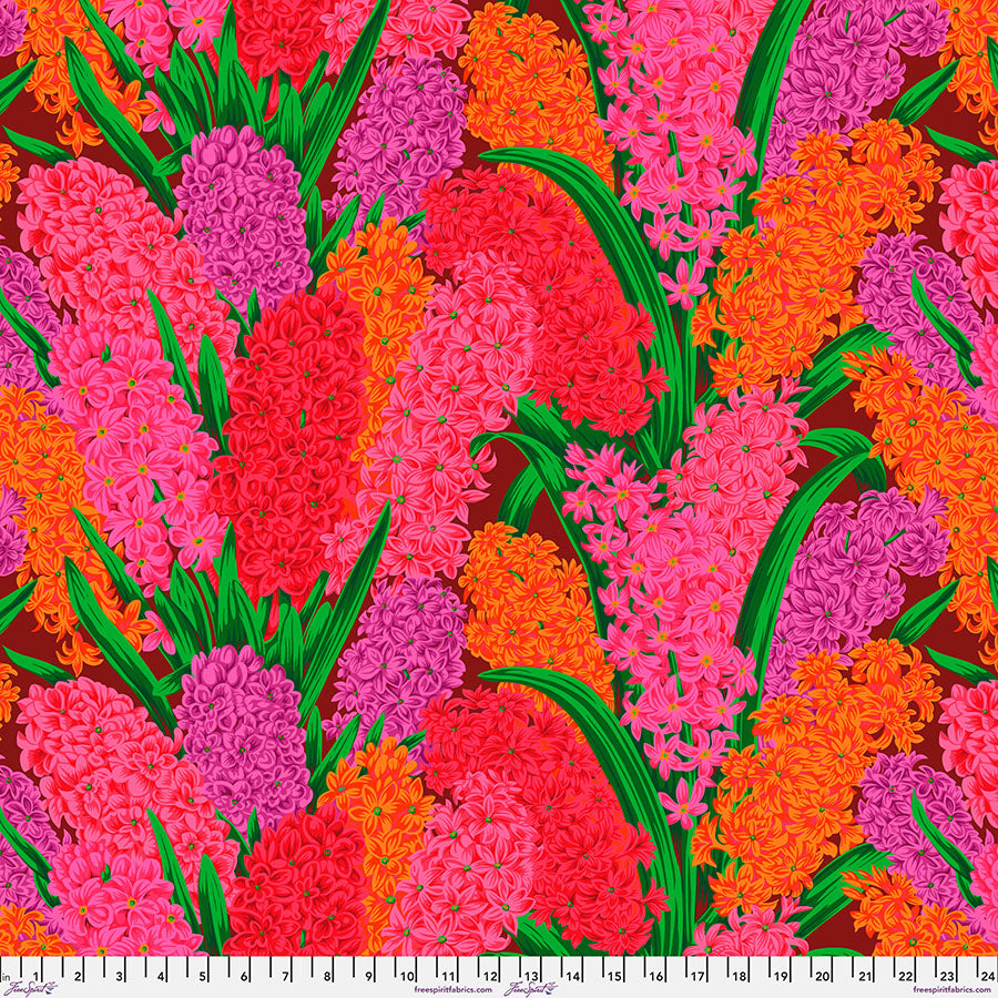 HIACINTHUS RED PWPJ123 PHILIP JACOBS KFC Fall August 2023