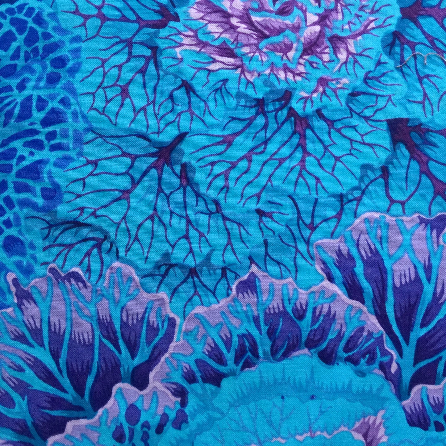 BRASSICA BLUE PWPJ051 Philip Jacobs