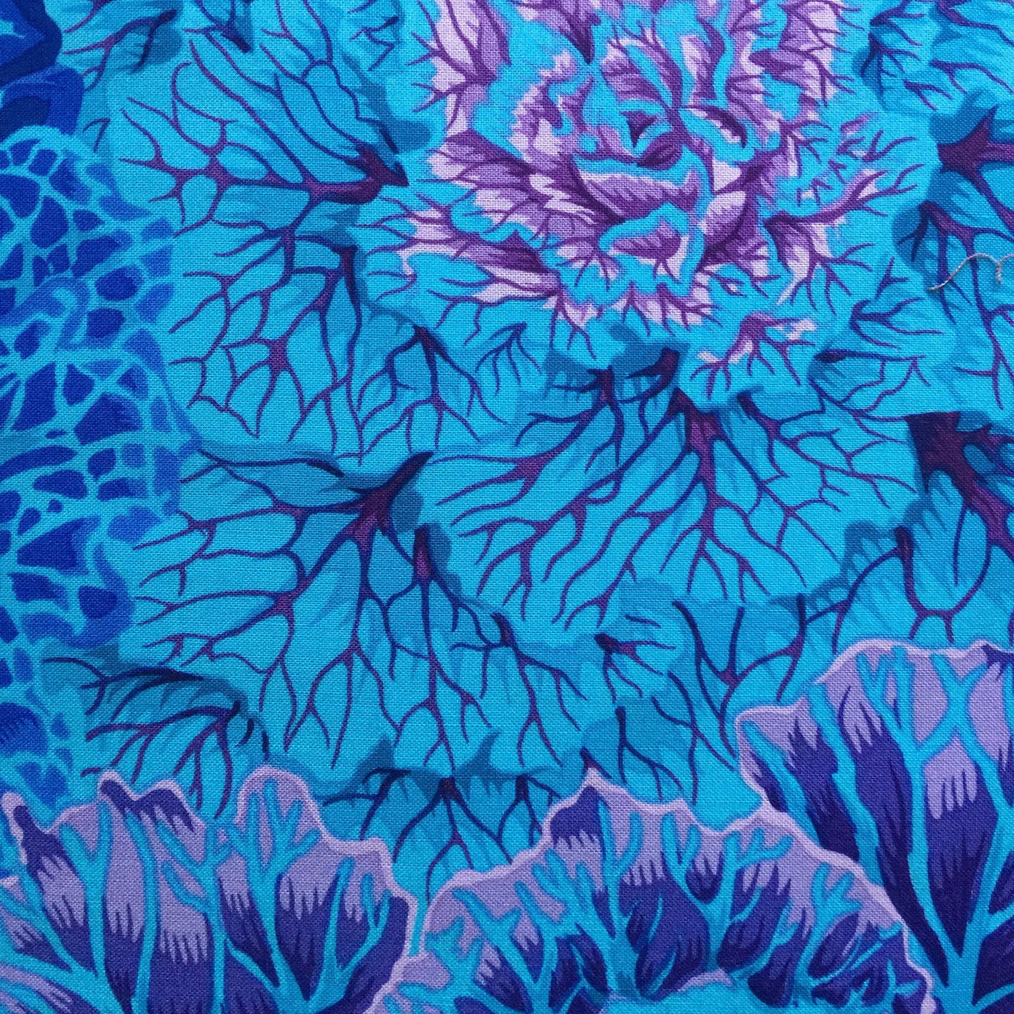 BRASSICA BLUE PWPJ051 Philip Jacobs