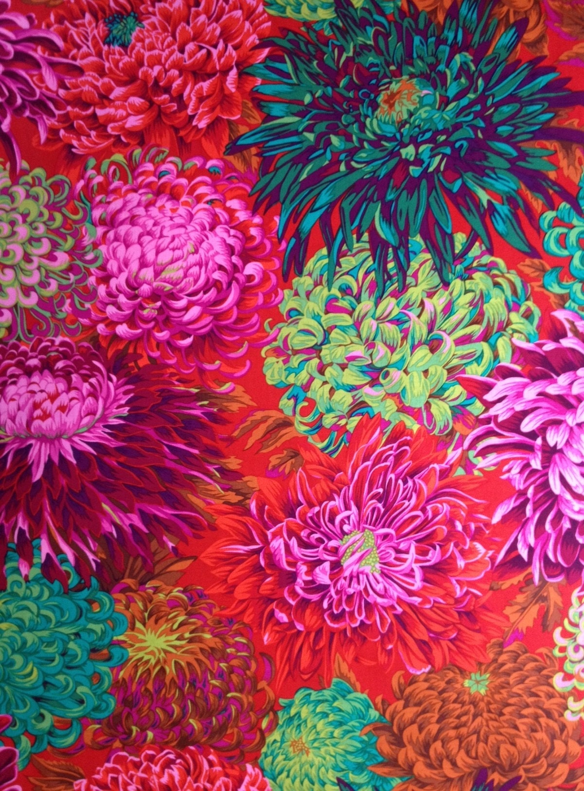 JAPANESE CHRYSANTHEMUM SCARLET Red PWPJ041 Philip Jacobs