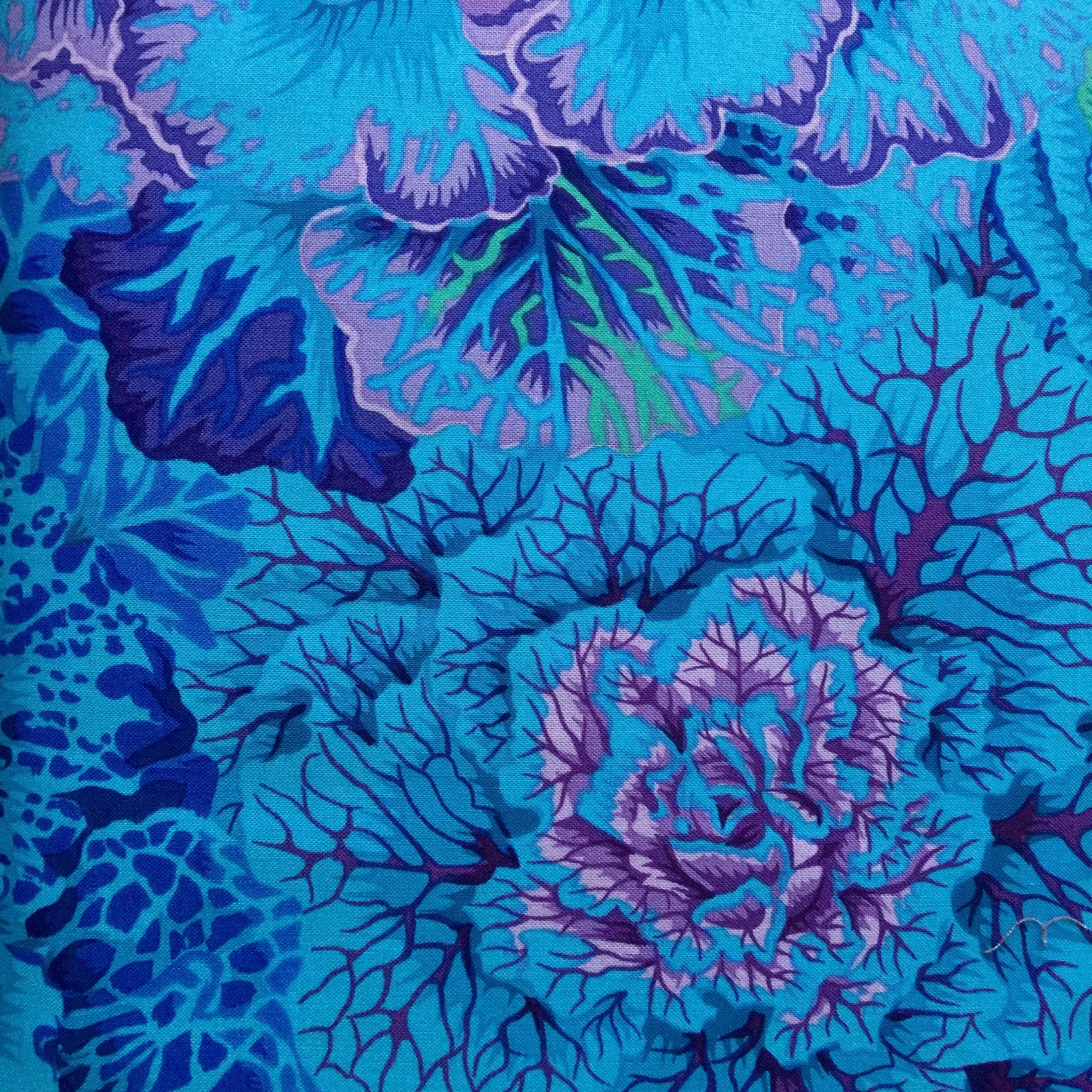 BRASSICA BLUE PWPJ051 Philip Jacobs