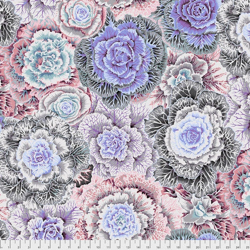 BRASSICA WHITE PWPJ051 Philip Jacobs