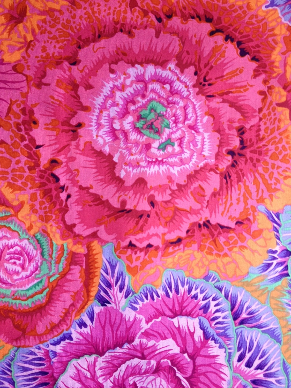 BRASSICA RED PWPJ051 Philip Jacobs