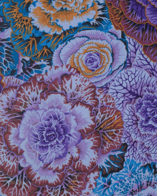 BRASSICA DARK PWPJ51 Philip Jacobs