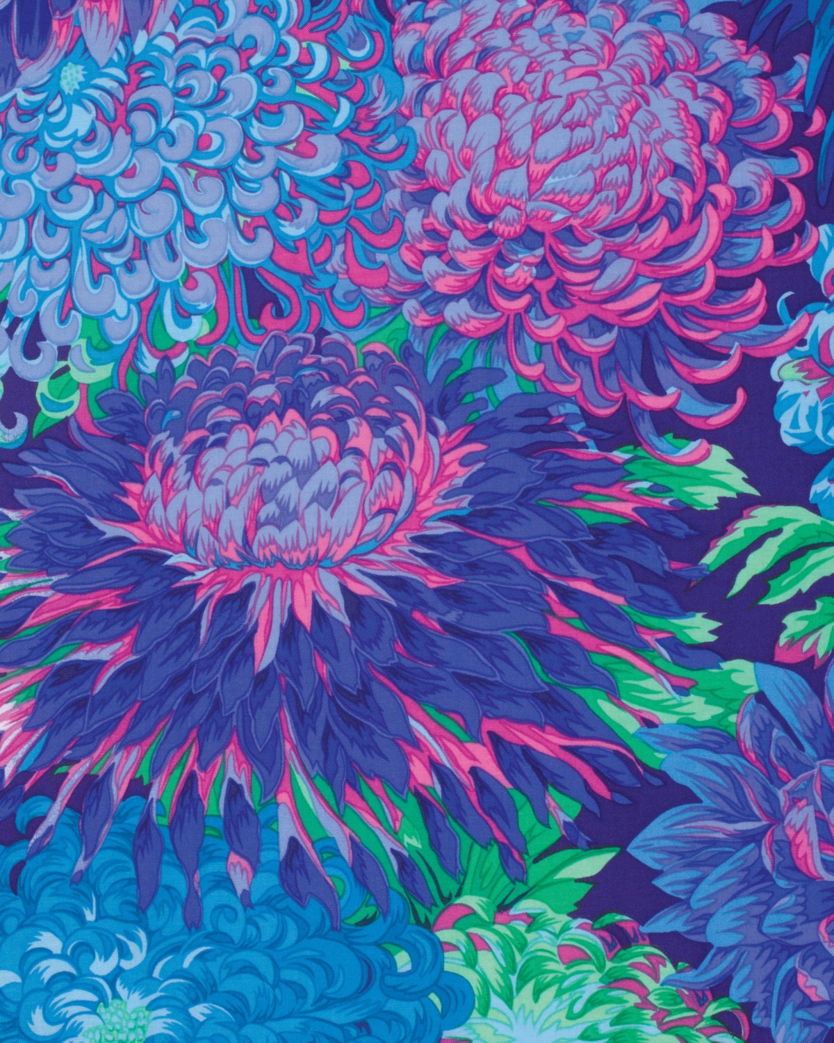JAPANESE CHRYSANTHEMUM BLUE PWPJ041 Philip Jacobs