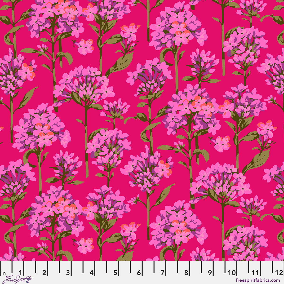 PHLOX - PLUM - Martha Negley for KFC - PWMD004.PLUM - FEBRUARY 2027