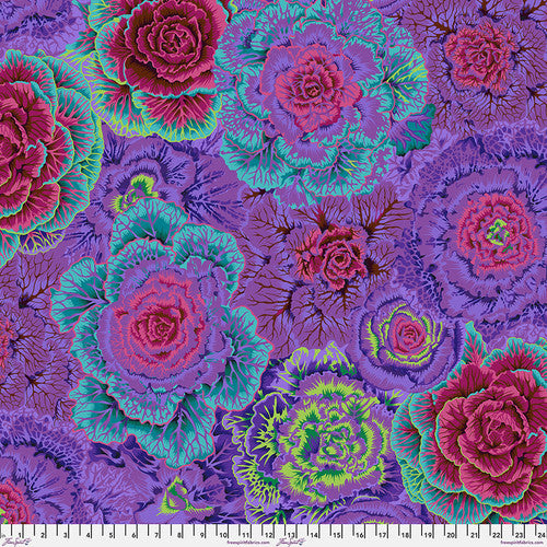 BRASSICA PURPLE PWPJ051 Philip Jacobs