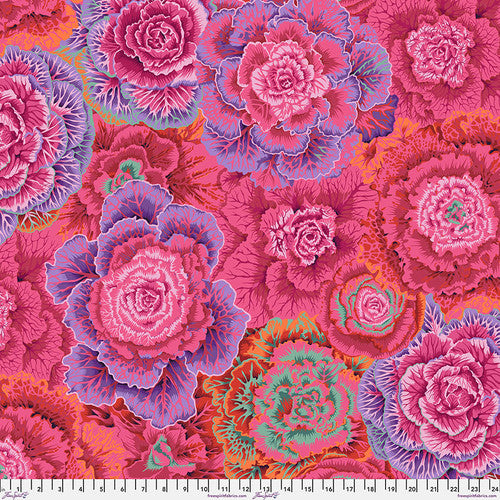 BRASSICA RED PWPJ051 Philip Jacobs