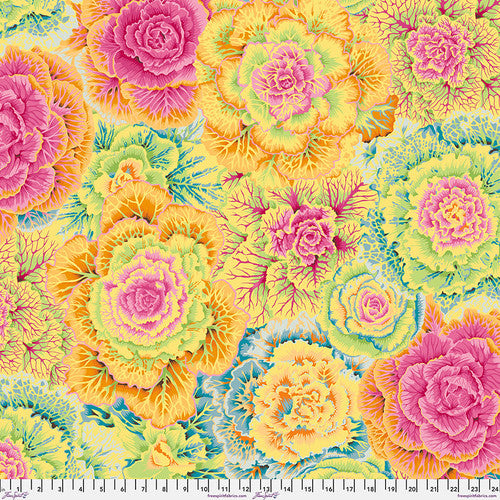 BRASSICA YELLOW PWPJ51 Philip Jacobs