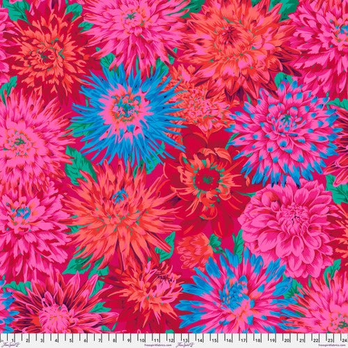 CACTUS DAHLIA  RED Philip Jacobs