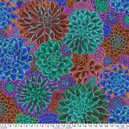 HOUSE LEEKS Drama PWPJ113 Kaffe Fassett Collective FEBRUARY 2025