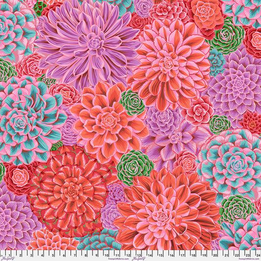 HOUSE LEEKS Pink PWPJ113  Kaffe Fassett Collective FEBRUARY 2025