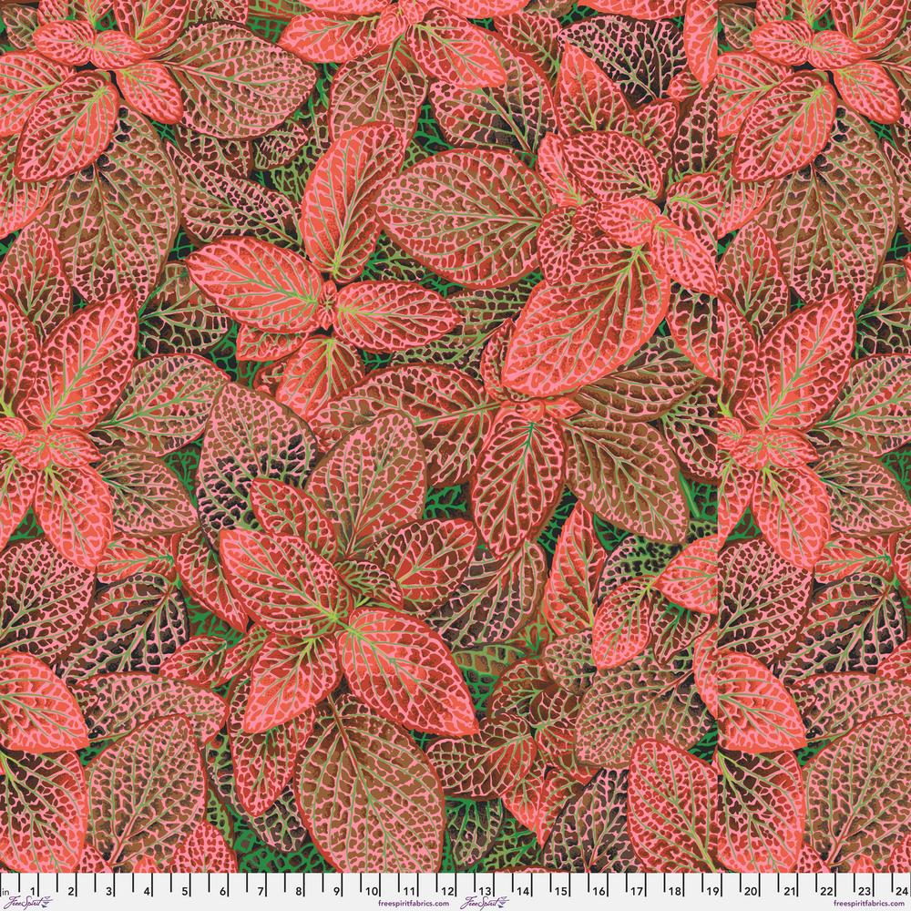 FITTONIA RED PWPJ129  Philip Jacobs Kaffe Fassett Collective AUGUST 2024