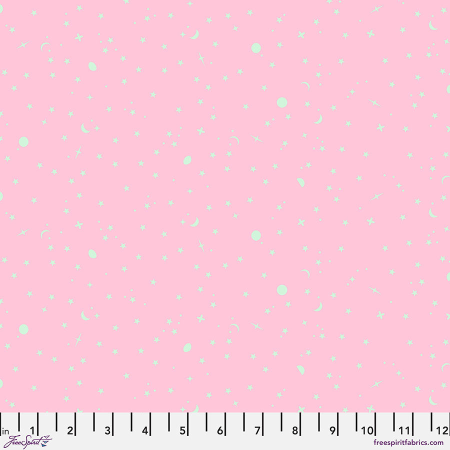 PRE-ORDER - SPACE SPRINKLES- PIGLET- True Colors PWTP254.PIGLET - Tula Pink - APRIL 2025