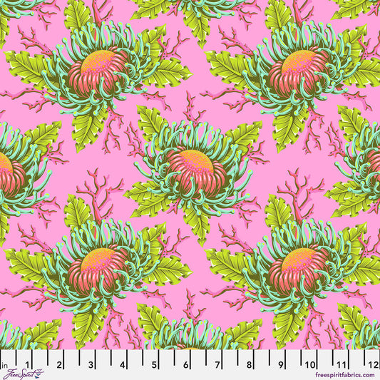 PRE-ORDER Friends & Anemones - Coralline - Floral Reef Tula Pink - PWTP265.CORALLINE