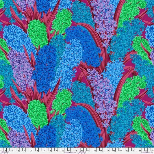 HYACINTHUS BLUE PWPJ123 PHILIP JACOBS KFC Fall August 2023