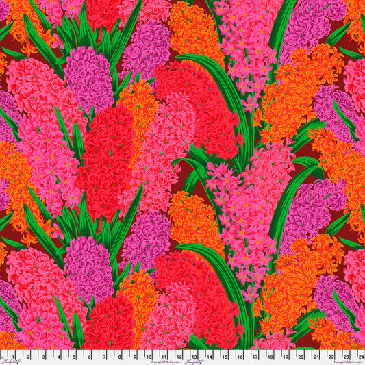 HYACINTHUS RED PWPJ123 PHILIP JACOBS KFC Fall August 2023