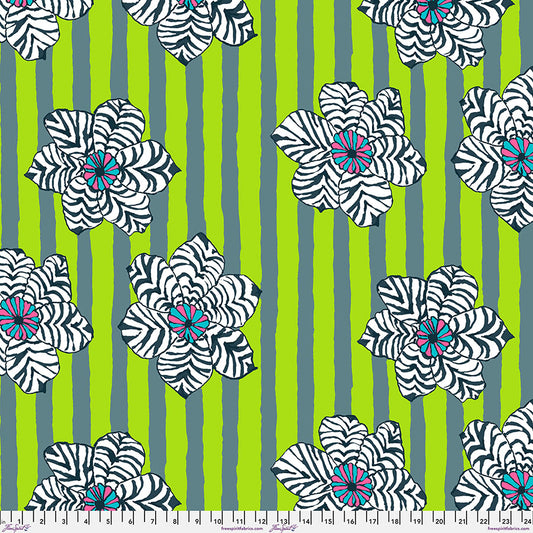 ZEBRA LILY GREEN PWBM091 BRANDON MABLY August 2023