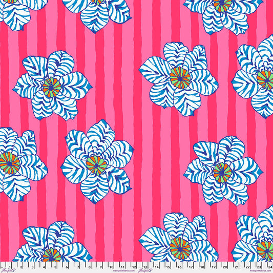 ZEBRA LILY PINK PWBM091 BRANDON MABLY August 2023