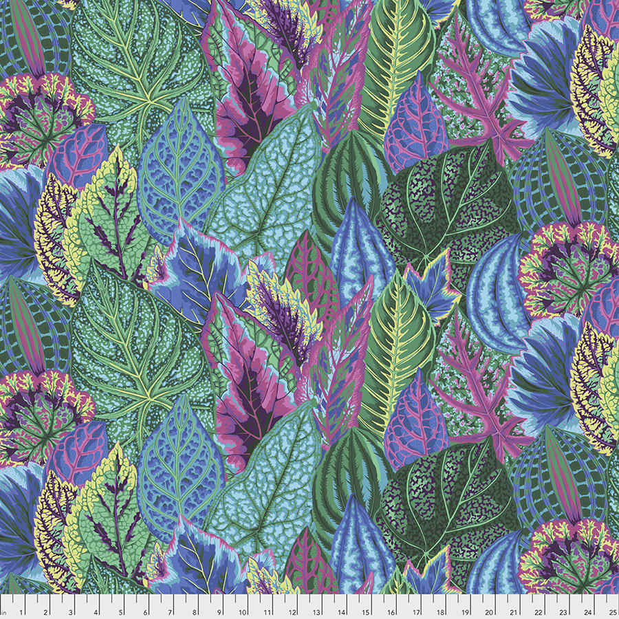 COLEUS TURQUOISE PWPJ030 Philip Jacobs