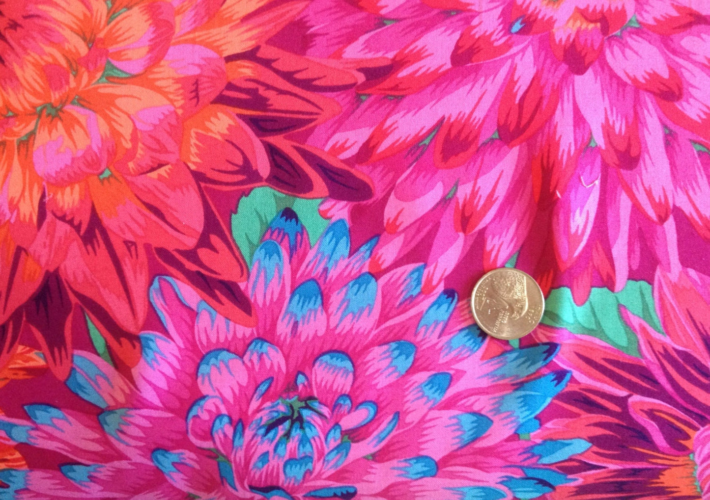 CACTUS DAHLIA  RED Philip Jacobs