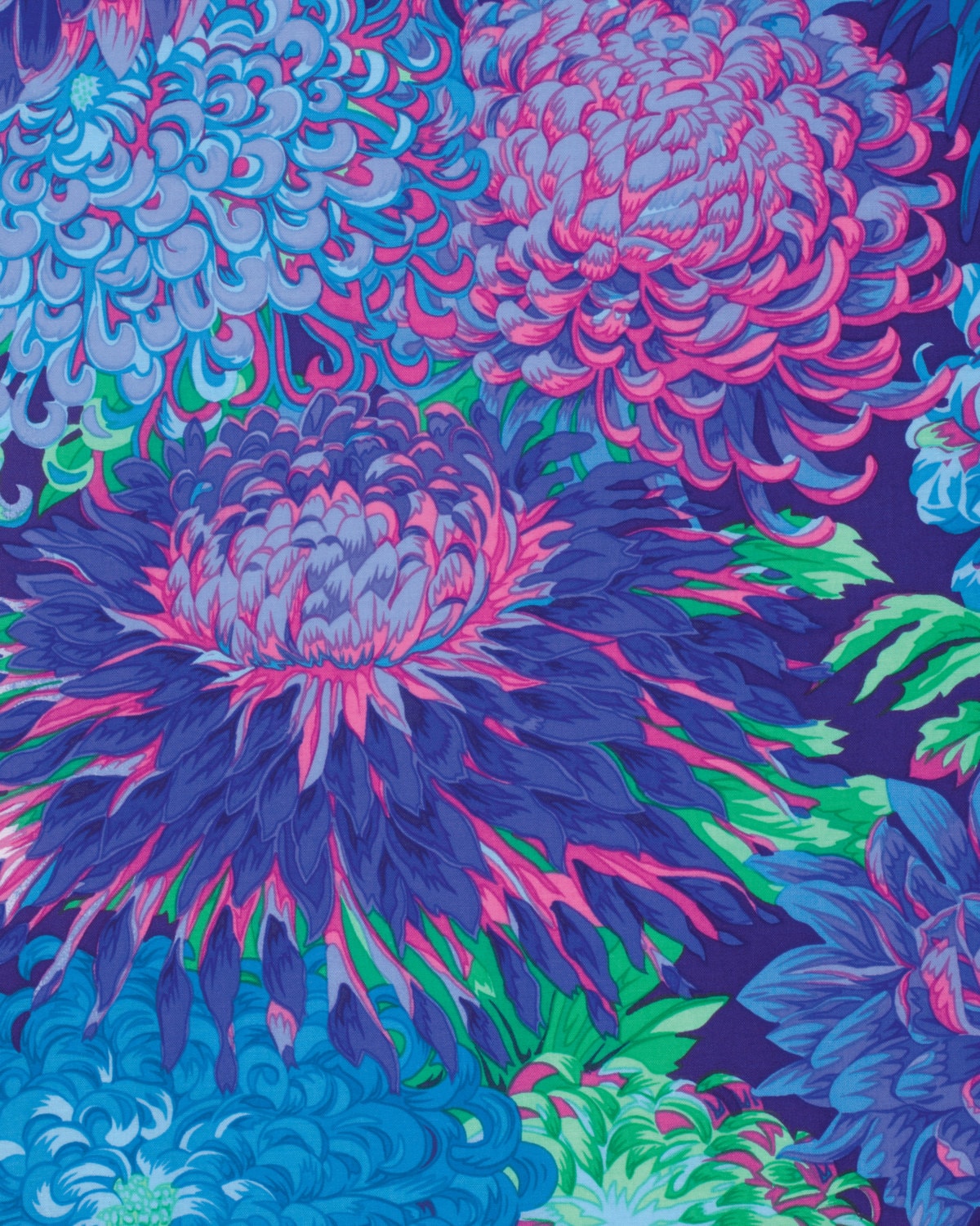 JAPANESE CHRYSANTHEMUM BLUE  PWPJ041 Philip Jacobs