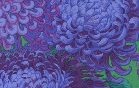 JAPANESE CHRYSANTHEMUM  PURPLE PWPJ041 Philip Jacobs