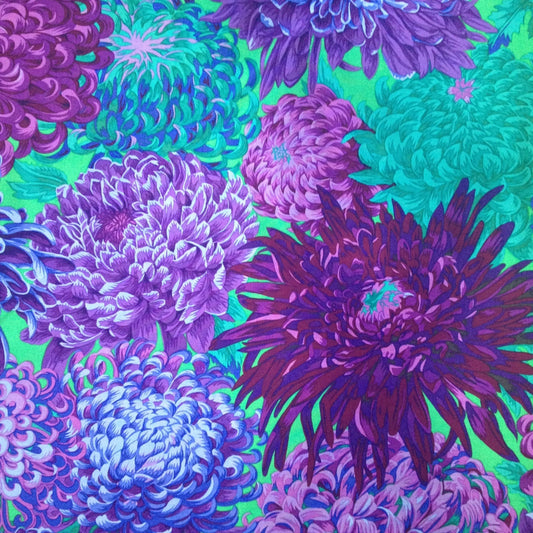 JAPANESE CHRYSANTHEMUM  PURPLE PWPJ041 Philip Jacobs